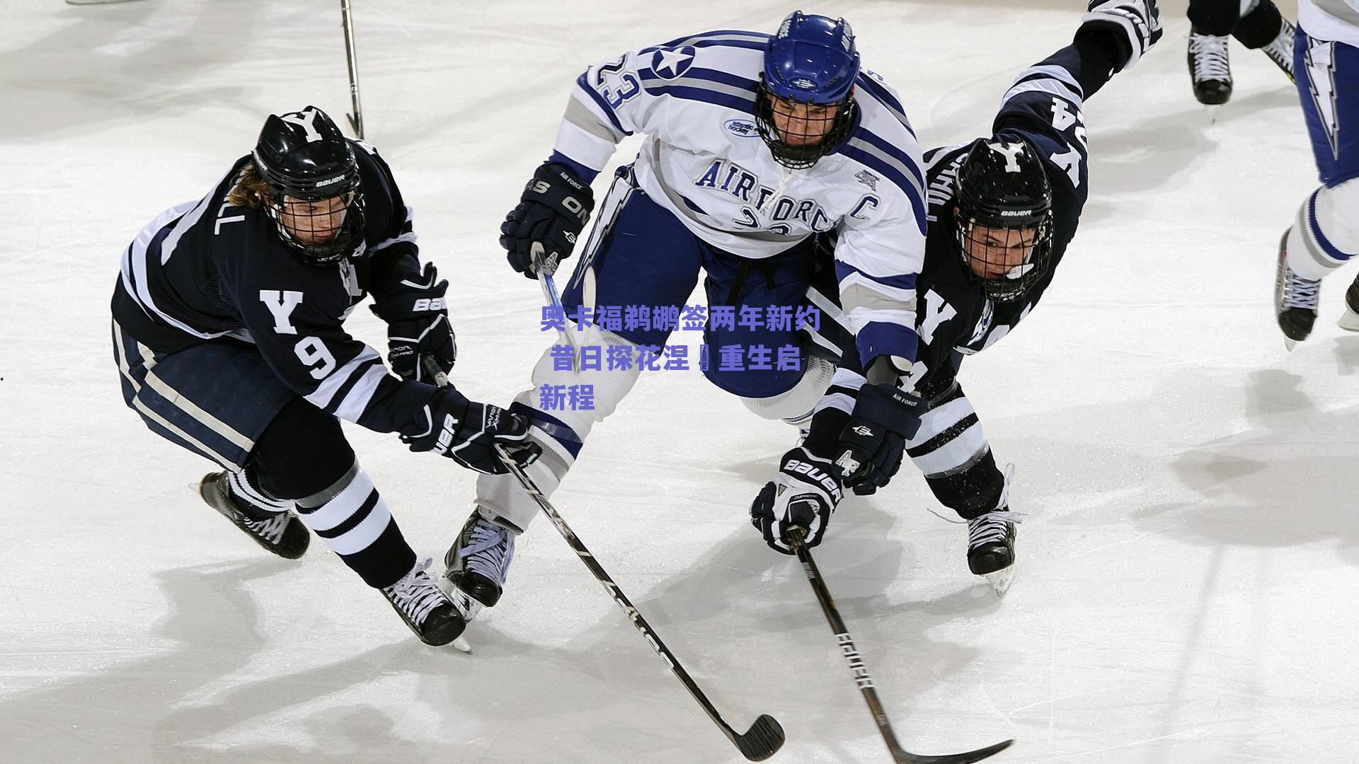 奥卡福鹈鹕签两年新约 昔日探花涅槃重生启新程