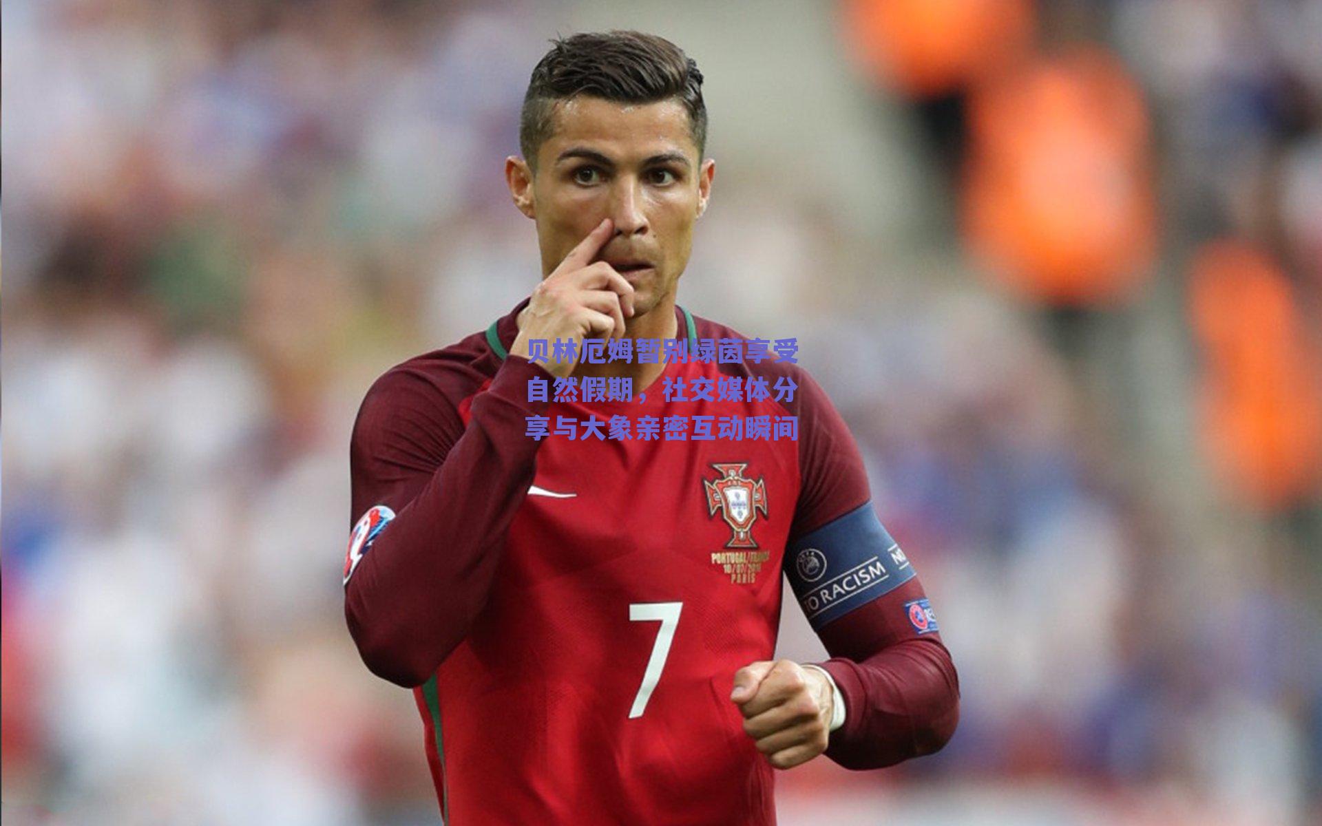 贝林厄姆暂别绿茵享受自然假期，社交媒体分享与大象亲密互动瞬间